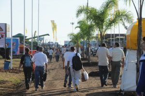 06/03 – MAÑANA ABRE LA NUEVA EXPOAGRO