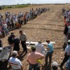 Agricultura de alto vuelo