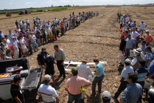 Agricultura de alto vuelo