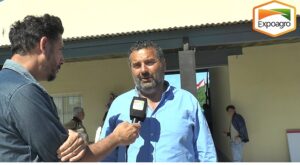 Braford Primavera: el protagonismo de Chaco y el impulso de Expoagro