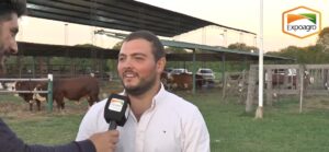 La pasión por la ganadera en la Nacional Primavera Braford