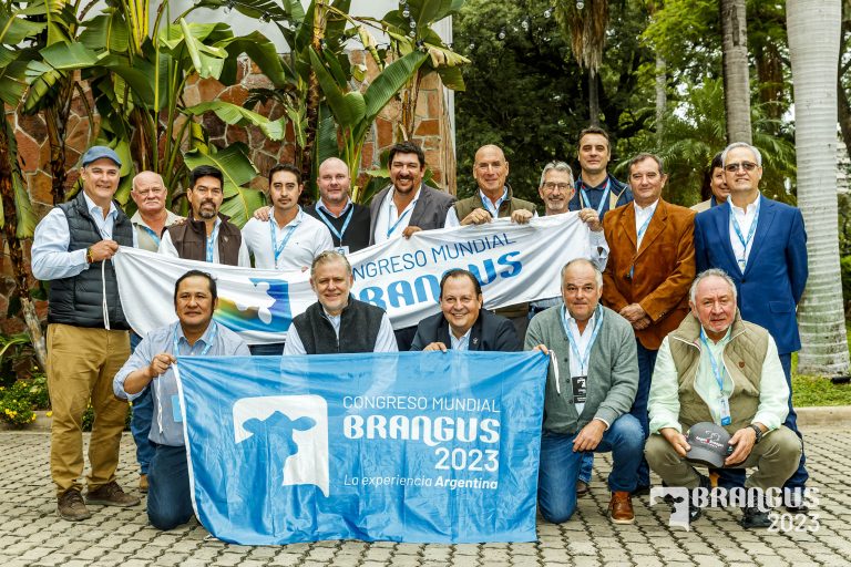 Elogios internacionales para el Brangus Argentino