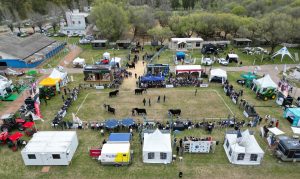 La mejor genética y las oportunidades de negocio se destacaron en la Exposición Nacional Angus de Primavera