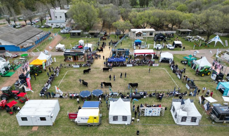 La mejor genética y las oportunidades de negocio se destacaron en la Exposición Nacional Angus de Primavera