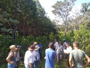 Jornadas de capacitación sobre suelo, árboles y agroecología