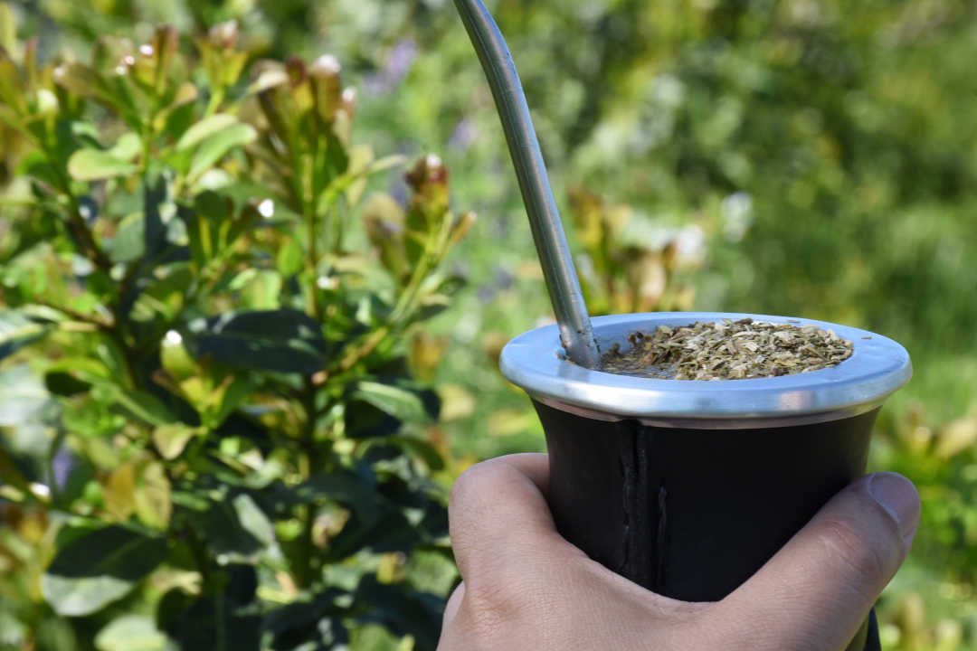 Las ventas de yerba mate sumaron 135,6 millones de kilos al cierre de mayo