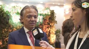 El rol estratégico de la OCDE en América Latina