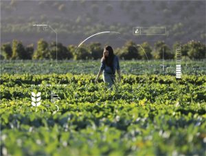 Microsoft debuta en Expoagro mostrando las últimas tecnologías digitales para el campo argentino