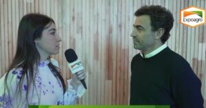 Campaña 2025/26: clima favorable y buenas perspectivas para trigo y cebada