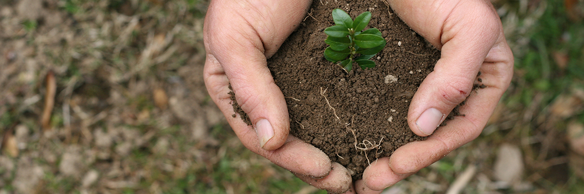 Agrobioindustria del futuro: el Ministerio expone el desarrollo y las oportunidades del sector