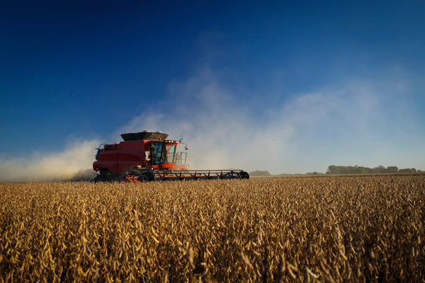 Sustentabilidad, mercados y agroindustria en la 10° edición del Seminario ACSOJA