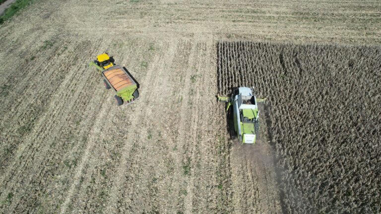 Desafío maicero: Sembró 34 híbridos de 12 semilleras diferentes para saber cuál era el mejor para sus campos