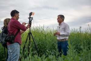 Carinata: un cultivo destinado a volar y cuidar el ambiente