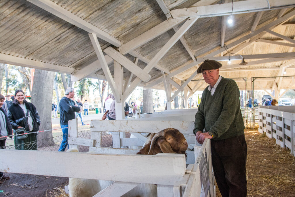 “La Constancia”, pasión por el Hampshire Down y el legado de tres generaciones en el sur santafesino