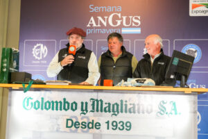 Colombo y Magliano vendió 8.000 cabezas