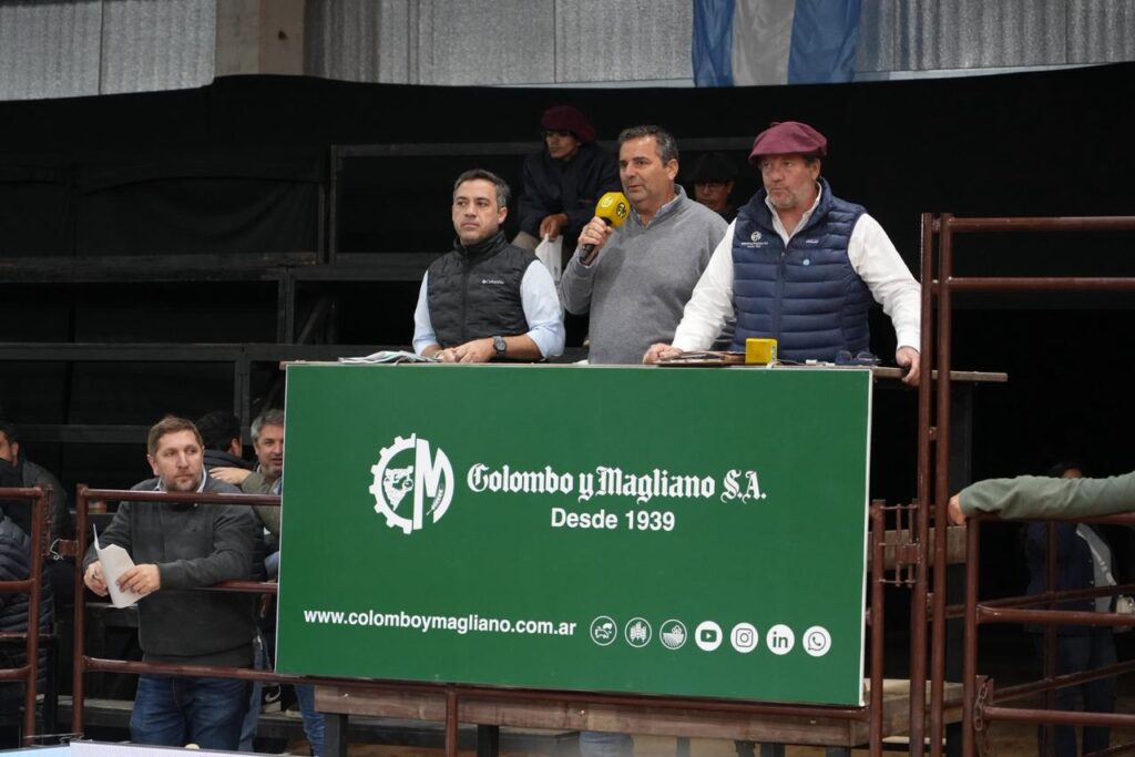 Braford realizó sus ventas: $39 millones por el Gran Campeón Individual de Lote