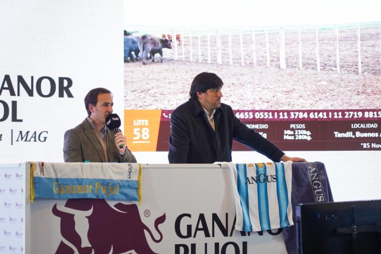 Más de 12.000 cabezas, un solo remate: Galicia y Gananor Pujol apuestan fuerte por la ganadería
