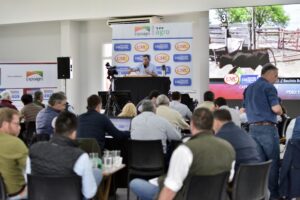 Con un remate de 8 mil cabezas, comenzó la Nacional Primavera Braford 2025