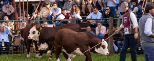 ¿Qué sucederá en el tercer día de Las Nacionales?