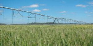 Agua en agricultura: Del monitoreo a la acción para cuidar cada gota