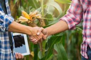 Red Agro acompaña e impulsa la ganadería del norte