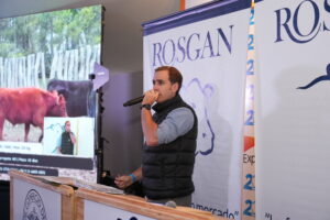 Rosgan subastó 38.200 cabezas de invernada en un remate sin precedentes para la entidad