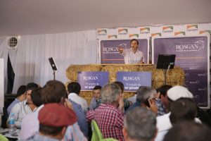 Crecen las expectativas por los remates en Expoagro 2022