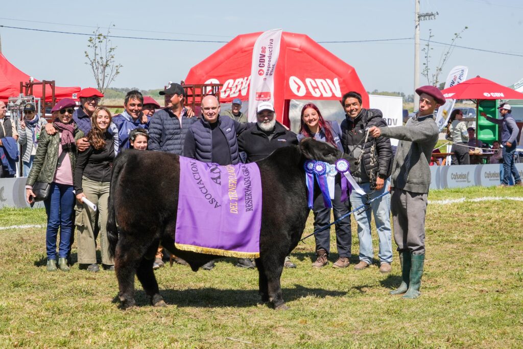 Reservado Gran Campeón Ternero