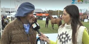 El Caballo Criollo, un símbolo del campo argentino