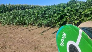 Rivulis: liderazgo global con industria local