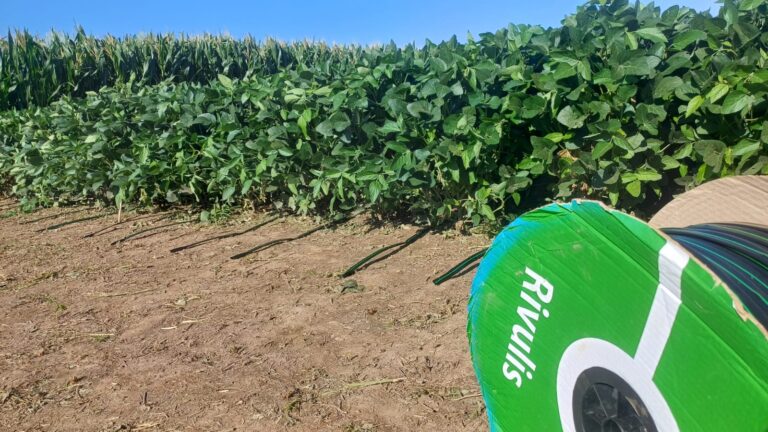 Rivulis: liderazgo global con industria local