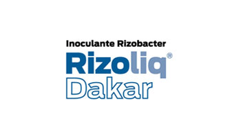 Rizoliq Dakar