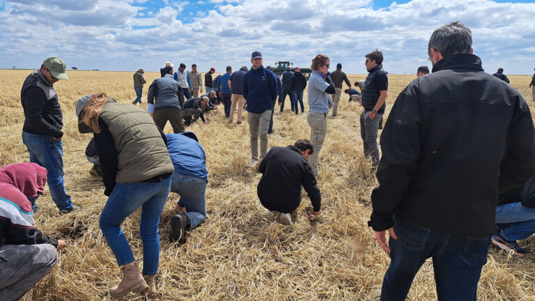 AGD: Lograron convertir la lluvia en riego, jubilaron el barbecho y chau compactación de suelos