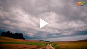 Prácticas agronómicas para potenciar los rendimientos del maíz