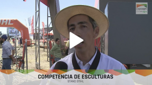 ¡Esculturas en Expoagro!