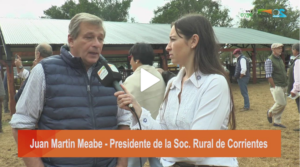 Corrientes tiene nuevo espacio para los Caballos Criollos