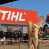 07/02 – STIHL VUELVE CON EL CAMPEONATO DE ESCULTORES CON MOTOSIERRA