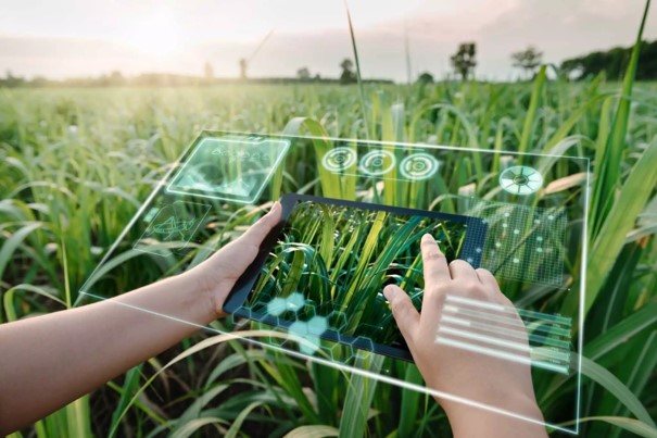 Agritechnica 2023: Tecnología Agropecuaria argentina al servicio de la sustentabilidad