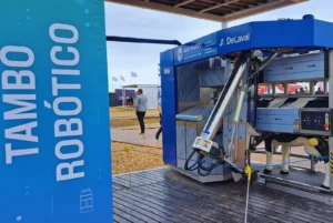 Argentina cuenta con más de 400 tambos robotizados en funcionamiento