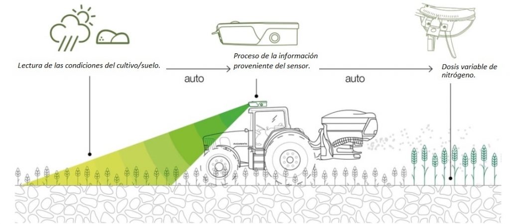 Tractor equipado con sensor para aplicar dosis variable sin mapeo previo y fertilizadora.