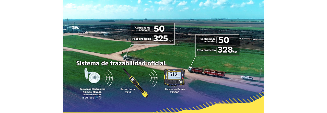 Datamars Livestock brinda un plus de tecnología para el productor ganadero y dice presente en la Expo Nacional Angus