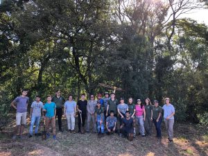 Semana del Medio Ambiente: comenzó la plantación de árboles nativos