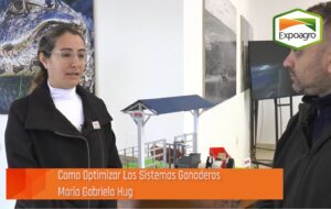 ¿Cómo funciona el RFI? La herramienta que permite evaluar el consumo residual de los animales