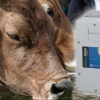 27/02 – ROTOR PUMP DEBUTA EN EXPOAGRO CON SUS BOMBAS SOLARES