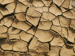 “Las medidas por la sequía son un alivio”, resaltó la Federación Agraria