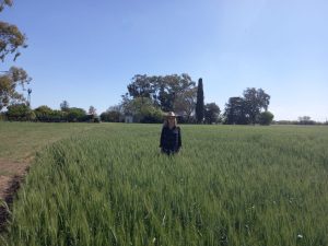 «Tenemos que lograr un equilibrio, con diversidad, donde se puedan escuchar las opiniones de todos»