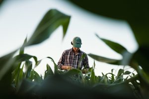 Con novedades en maíz y girasol, SPS llega a Expoagro con un objetivo claro: ser líderes en su segmento de negocios