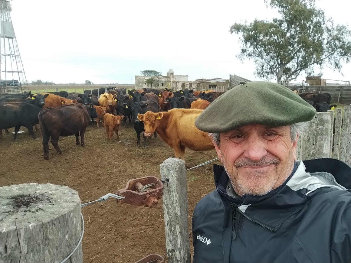 Buen estado en los rodeos vacuno en la zona noroeste