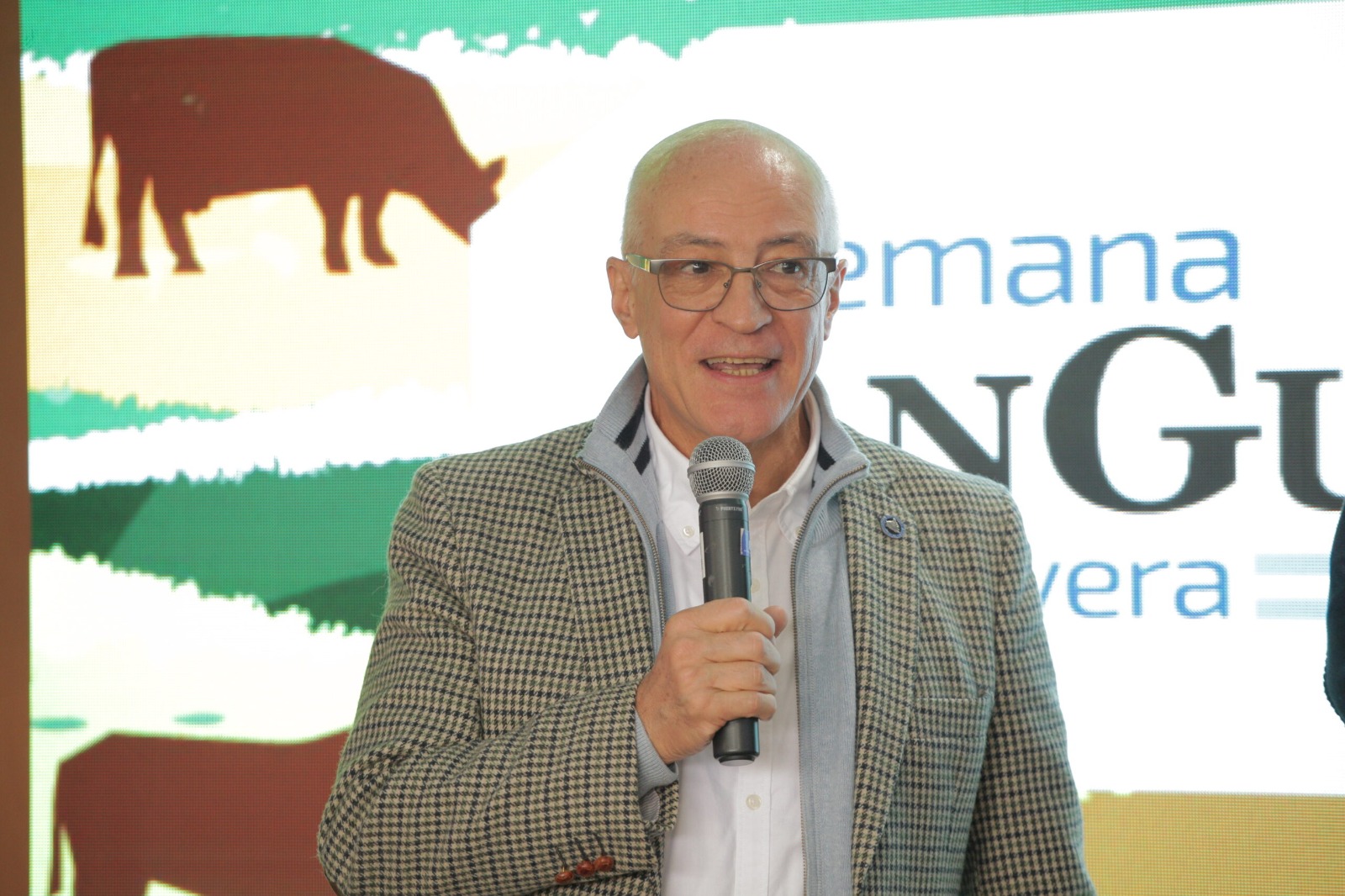De la exportación récord a la pista de Cañuelas: Angus triplica la certificación de carne y prepara su gran Exposición de Primavera