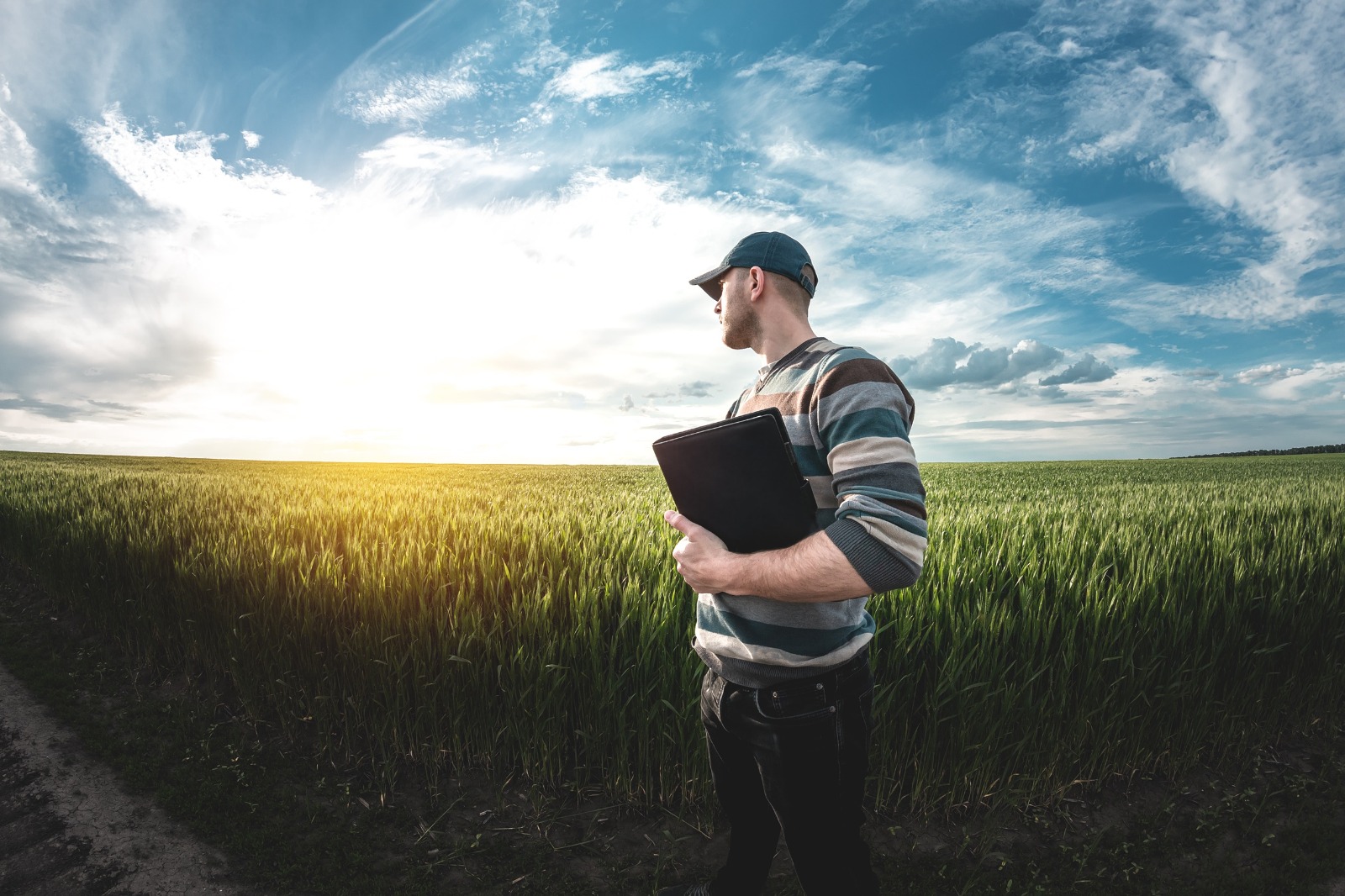 IA en el agro: Cómo aprovecharla para mejorar la gestión sin delegar las decisiones